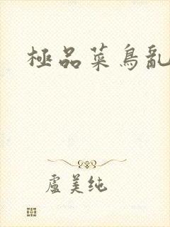 极品菜鸟乱江湖