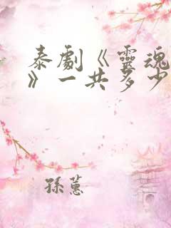 泰剧《灵魂重生》一共多少集