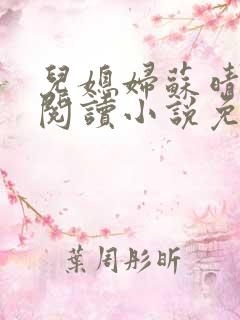 儿媳妇苏晴在线阅读小说免费阅读全文