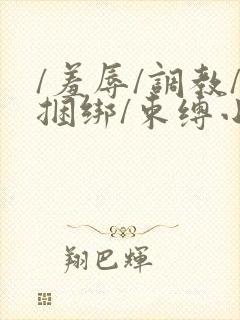 /羞辱/调教/捆绑/束缚小说