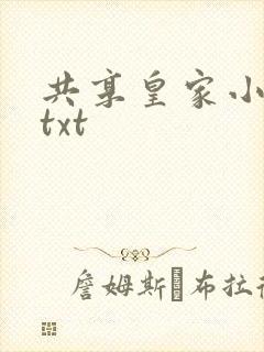 共享皇家小公主txt