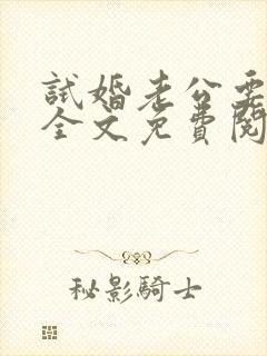 试婚老公要给力全文免费阅读