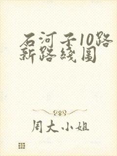 石河子10路车新路线图