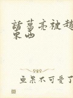 诸葛亮被赵云塞东西