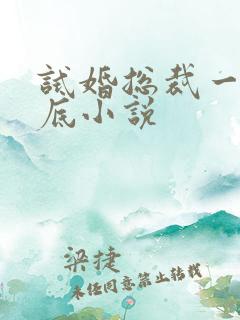 试婚总裁一宠到底小说