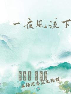 一夜风流下载