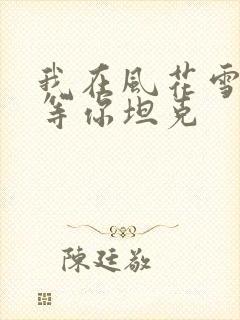 我在风花雪月里等你坦克