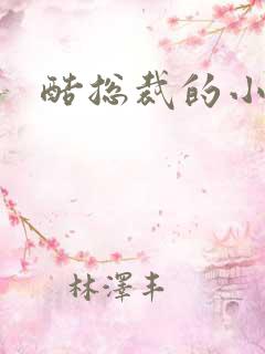 酷总裁的小女佣