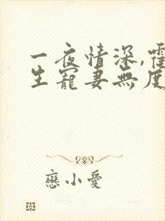 一夜情深,霍先生宠妻无度小说看