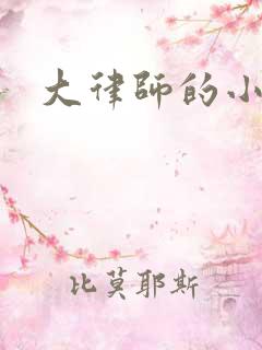 大律师的小老婆