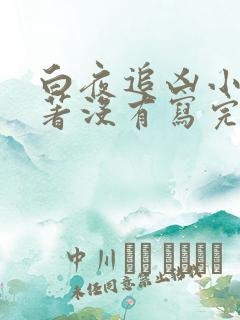 白夜追凶小说原著没有写完吗