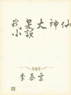 我是大神仙时江小说