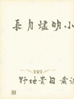 长月烬明小说