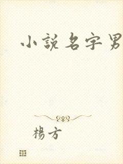 小说名字男生