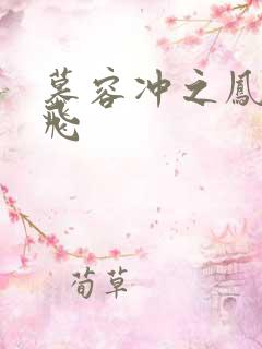 慕容冲之凤凰于飞