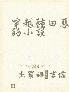 穿越种田恶夫郎的小说