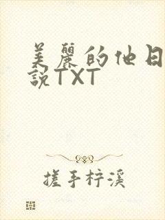 美丽的他日剧小说TXT