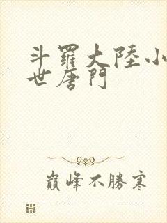 斗罗大陆小说绝世唐门
