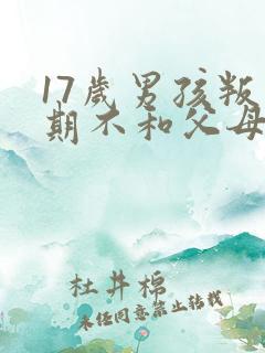 17岁男孩叛逆期不和父母沟通怎么办