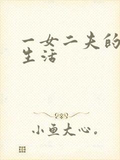 一女二夫的激情生活