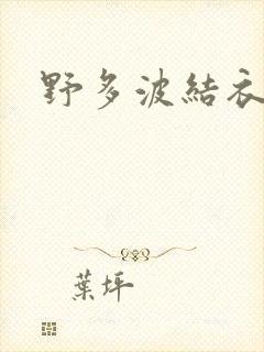 野多波结衣