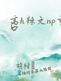 高h辣文np重口