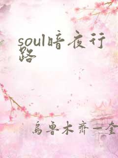 soul暗夜行路