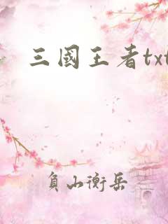 三国王者txt
