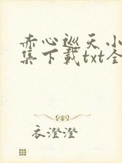 赤心巡天小说全集下载txt全集下载