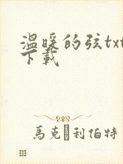 温暖的弦txt下载