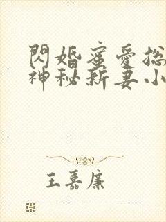 闪婚蜜爱总裁的神秘新妻小说