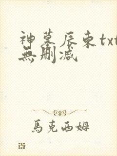 神墓辰东txt无删减