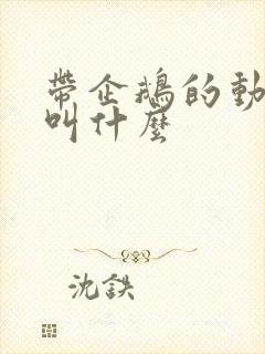 带企鹅的动画片叫什么