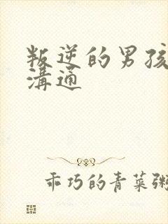 叛逆的男孩怎么沟通