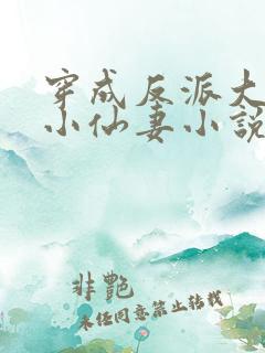 穿成反派大佬的小仙妻小说