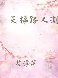 天梯路人测试器