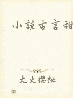 小说古言甜宠文