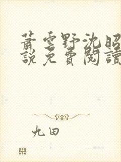 萧云野沈昭宁小说免费阅读最新章节