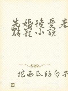 先婚后爱老公轻点宠小说