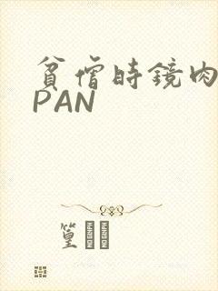 贫僧时镜肉补全PAN