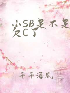 小SB是不是又欠C了