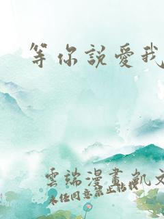 等你说爱我小说