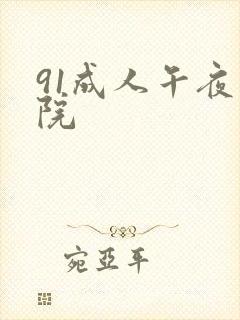 91成人午夜影院