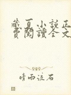 藏夏小说正版免费阅读全文无弹窗