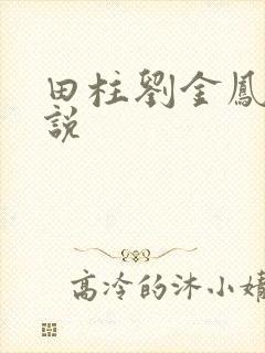田柱刘金凤的小说