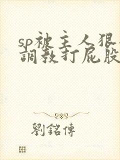 sp被主人狠狠调教打屁股