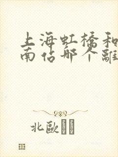 上海虹桥和上海南站哪个离迪士尼近