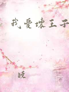 我爱坏王子