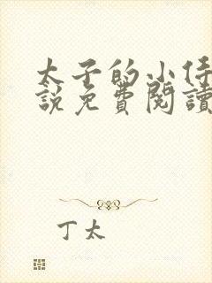 太子的小侍妾小说免费阅读全文