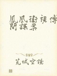 凤凰卫视傅晓田间谍案